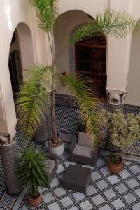 Una habitación con dos palmeras y suelo de baldosas. en Guests House With View Rooftop, en Marrakech 12 fotos más