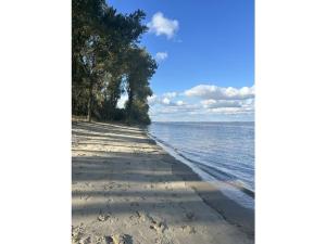 una playa de arena con árboles y agua. en Michael's Elbe Dream, en Krautsand 6 fotos más