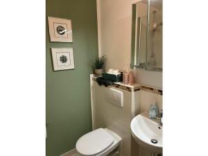 un bagno con un water bianco e un lavandino di Holiday apartment in Moselkern with Wi-Fi a Moselkern