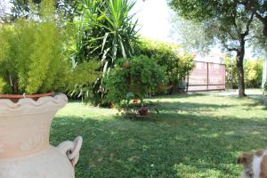A garden outside B&B Angels