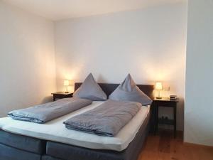 Hallenbach with Moselle view في زيل ان دير موسل: سرير في غرفة عليها وسادتين