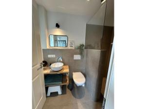 a bathroom with a sink and a toilet at The Linnebargs, House 1 in Bisdorf +23 photos