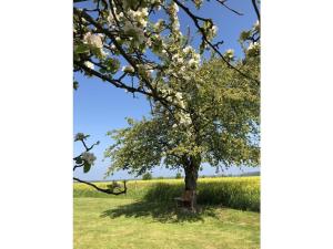 Gallery image of Historic farmhouse 1840 in Mursewiek