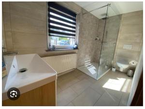 LangenhennersdorfHoliday home at the rock labyrinth的带水槽、淋浴和马桶的浴室