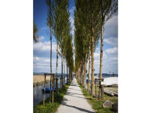 莫斯Holiday apartment in Moos with Wi-Fi的海滩上一条绿树成荫的小路