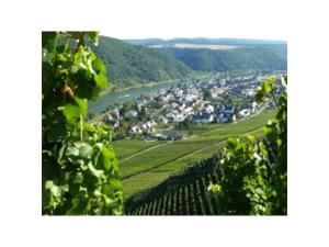 a view from a vineyard of a town and a river at 4-star holiday apartments Weber in Winningen