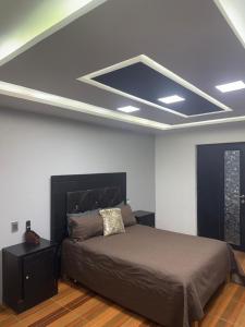 萨卡特卡斯Apartamento mandarina的房间里有一张床的卧室