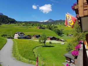 Blick auf einen grünen Hügel mit Häusern und einer Flagge in der Unterkunft Holiday apartment I in Chalet Bodenwald in Grindelwald