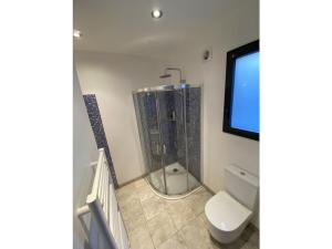 ein Bad mit einer Dusche und einem WC sowie einen TV in der Unterkunft Villa Romia Villa Romia in Fréjus + 15 Fotos