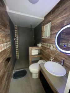 a bathroom with a toilet and a sink and a mirror at Apartamento mandarina in Zacatecas