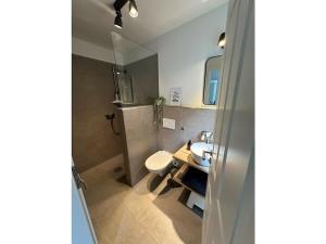 a bathroom with a toilet and a sink and a mirror at The Linnebargs, House 2 in Bisdorf +28 photos