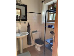 een kleine badkamer met toilet en wastafel bij Holiday home aison Le Barret in Sallelles +34 foto's