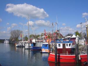 Φυσικό τοπίο κοντά σε αυτή η παραθεριστική κατοικία