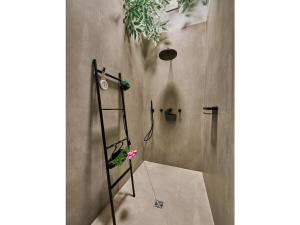 Holiday rooms with 0 bedrooms في Albachten: كابينة دش مع سلم في الحمام