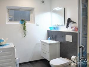 a bathroom with a toilet and a sink and a mirror at Holiday apartment with 1 bedroom in Südrandweg +20 photos