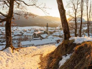 een stad in de sneeuw met bomen en gebouwen bij House Alpenlicht in Reit im Winkl +8 foto's