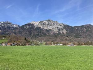 Holiday apartment with 1 bedroom في Kirchberg: حقل أخضر كبير مع جبال في الخلفية