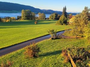 Un camino a través de un campo con un lago al fondo en Holiday home in Weitnau with swimming pool, en Hellengerst