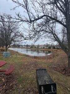 a bench sitting in the grass next to a river at Comfort zone in Indianapolis