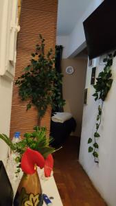 a room with a vase with a plant in it at Quarto compartilhado para Homens in Sao Paulo