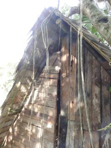 a house with ropes hanging off the side of it at Siem Reap Tree Top Eco Lodge 