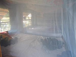 a bedroom with a bed with a white mosquito net at Siem Reap Tree Top Eco Lodge 