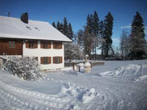 una casa coperta di neve di fronte a un cortile di Holiday home with 2 bedrooms a Buchenberg