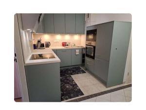 美茵河畔哈瑙Holiday apartment in Hanau with swimming pool的厨房配有灰色橱柜、水槽和电器