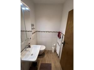 Pine-paneled room by the lake في شليرزيه: حمام مع حوض ومرحاض