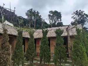 Budova, kde se the luxury tent nachází + 18 fotografií