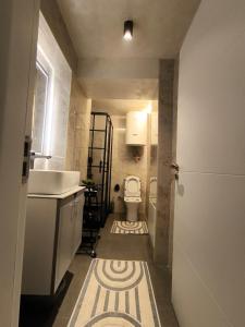 a small bathroom with a toilet and a sink at Pri Home in Pristina +2 photos