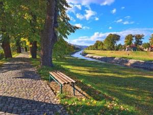 a bench sitting next to a tree next to a river at Luxurious detached water villa with jetty in Balk
