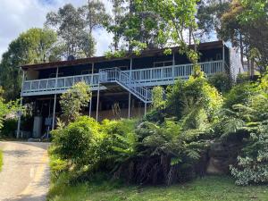 a house on the side of a hill with trees at Cocora Beach Cottage - pet friendly in Eden