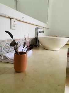 Imagine din galeria proprietății Casa Gema în San Juan La Laguna