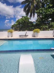 a swimming pool with a bench next to the ocean at Hotel Colombus in Aguada