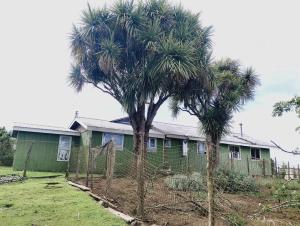 卡斯特鲁Agroturismo Silvestre Marly的房子前面的一棵棕榈树