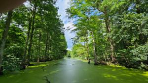 Ảnh trong thư viện ảnh của Faultline Lodge ở Hornbeak