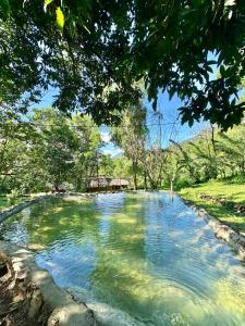 埃拉Pepper Hills Hostel & Cottages的田间中一大堆水