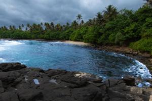 vistas a una playa con rocas y árboles en Ceylon Good Vibes Villa, en Dikwella