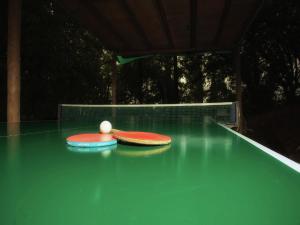 Bordtennis på Attractive apartment in typical Tuscan style eller i nærheden