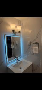 un baño con lavabo y espejo en Nelson Hotel, en Swan River