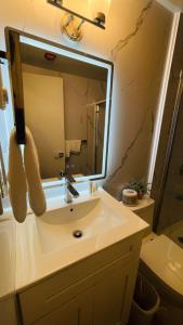 un baño con lavabo y espejo en Nelson Hotel, en Swan River