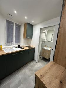 VolonneCharmant studio neuf au coeur de Volonne的厨房配有绿色橱柜和水槽