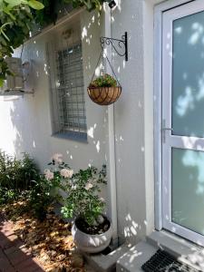 a porch with two potted plants on the side of a house at Stellenbosch Serenity in Stellenbosch