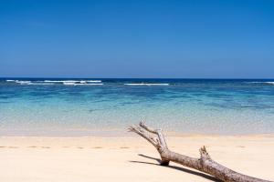 a tree branch laying on a beach with the ocean at 家族の笑顔 希望ヶ丘ビーチまで徒歩5分でのんびり家族ステイ Coral Onnason in Onna