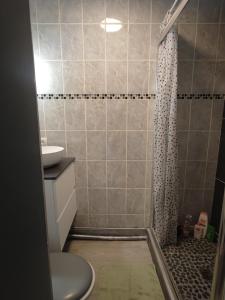 a bathroom with a shower with a toilet and a sink at City 18 in Bourges +10 photos