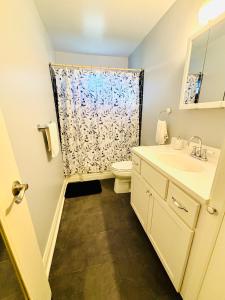 Un baño con inodoro, lavabo y ducha. en Charming Cape Cod Home in Glen Burnie, MD, en Glen Burnie