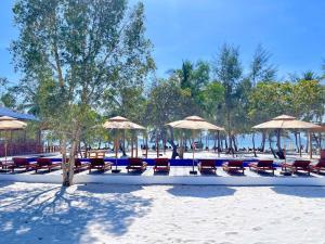a group of chairs and umbrellas on a beach at Royal C Resort in Koh Rong Island