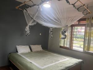 Fotografie z fotogalerie ubytování Ngaali Nest v destinaci Entebbe