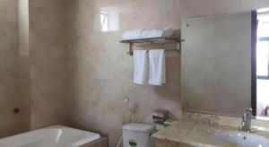 ein Badezimmer mit Waschbecken, Toilette und Spiegel in der Unterkunft Phoenix Hotel 3 in Bắc Ninh + 69 Fotos
